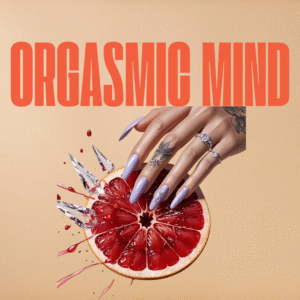 תמונת תוכנית