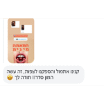 המלצה 3 מדריך העקרונות