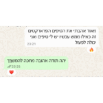 המלצה 1 מדריך העקרונות