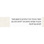 המלצה 2 מדריך העקרונות